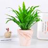 Dropshipping Helecho Nido de Ave Helecho en Maceta Follaje de Interior Planta Verde Flor Sala de Estar Oficina Escritorio de Empresa Planta Novedad