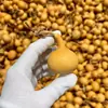 Ventas Directas de Fábrica de Calabazas de Juguete Naturales, Pequeños Adornos de Oficina, Calabazas con Grifo, Mangos de Juguete, Al por Mayor