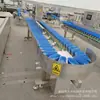 Máquina clasificadora de pescado entero caballa tilapia lubina corvina máquina clasificadora por peso verificador de peso de alta precisión en línea