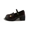 Versão em couro macio~Sapatos femininos versáteis em couro estilo francês para combinar com saias, novidade de verão 2026, sapatos Mary Jane com salto grosso e bico redondo vintage