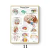 Pintura em Tela Poster de Anatomia Humana Músculos Mapa Humano Arte Imagem Ciência Sala Médica Pintura Decorativa Núcleo
