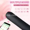 Comercio exterior transfronterizo diez frecuencias huevo saltarín inalámbrico femenino descarga fuerte bala mini huevo saltarín masajeador vibrador tapón anal APP