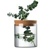 Botella Ecológica Hidropónica Personalizada para Plantas con Tapa, Rábano Verde Flor de Agua Decoración de Mesa, Micro Paisaje Vidrio Jarrón Pequeño