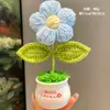 Regalo para el Día del Maestro Regalo para Maestro Nuevo de Jardín de Infantes Regalo de Cumpleaños Tulipán de Lana Flor Tejida Maceta de Girasol