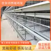 Jaulas para Huevos de Pollo, Jaulas para Palomas, Instalaciones de Cría Agrícola, Jaulas Apilables para Pollos de Engorde Tipo H, Jaulas para Codornices Tipo Escalera, Jaulas Completamente Automáticas para Pollos de Engorde Tipo A
