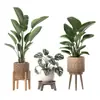 BR66608 Foto de Planta Tropical Autocolante Adesivos de Parede Planta Verde Planta em Vaso Tartaruga Bambu Folha de Bananeira Adesivos de Decoração para Casa