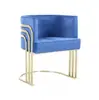 Sillón individual, acero inoxidable color dorado de lujo ligero, moderno minimalista para sala de estar, recepción de ocio y silla de reunión