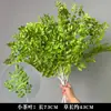 Estilo forestal flor verde boda nueva materiales de flor de boda decoración floral hojas de árbol artificiales plantas verdes hojas flores artificiales