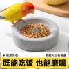 Comedero específico para loros, piedra volcánica para cotorras del sol, piedra para afilar el pico, piedra para afilar las garras, recipiente de comida anti-derrames, colección de artículos para mascotas