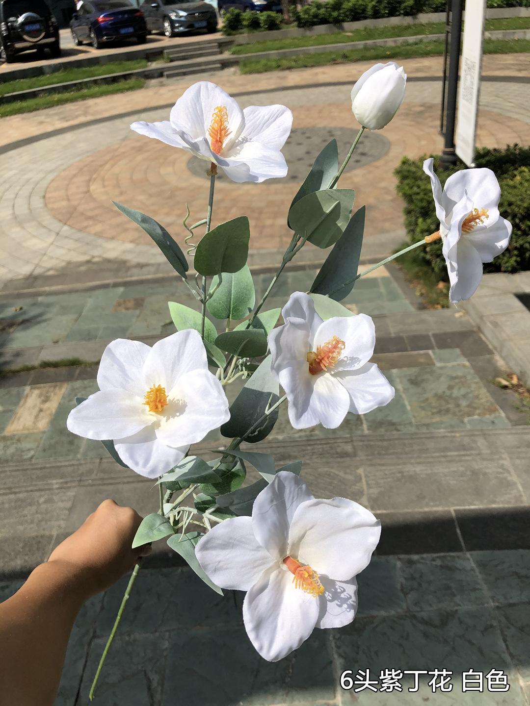微信图片_20201019125623.jpg