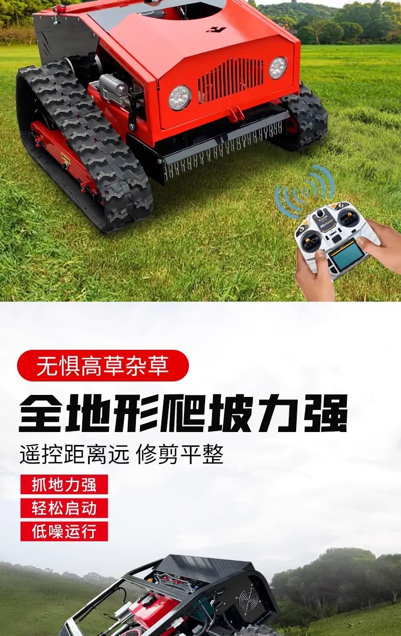 详情5