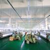 Malha de Filtro de Nylon Transfronteiriça, Espessada e Densificada, para Separação Sólido-Líquido de Tinta e Revestimento, Pano de Filtro de Alta Precisão, Malha de Nylon de Grau Alimentício