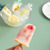 Moldes caseros para helado, moldes para helado infantiles, moldes para paletas de hielo, cubitos de hielo caseros, charolas para helado