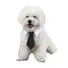 Corbata Maullido de Mascota Linda Mascota Caballero Accesorios para Perro Rayada Moderna Mascota Cuatro Estaciones Corbata de Moño de Algodón Amazon Venta al por Mayor Transfronterizo