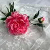 Flores de peônia simulação móveis de sala de estar peônia peônia flores decorativas ornamentos florais chineses adereços de fotografia flores artificiais atacado
