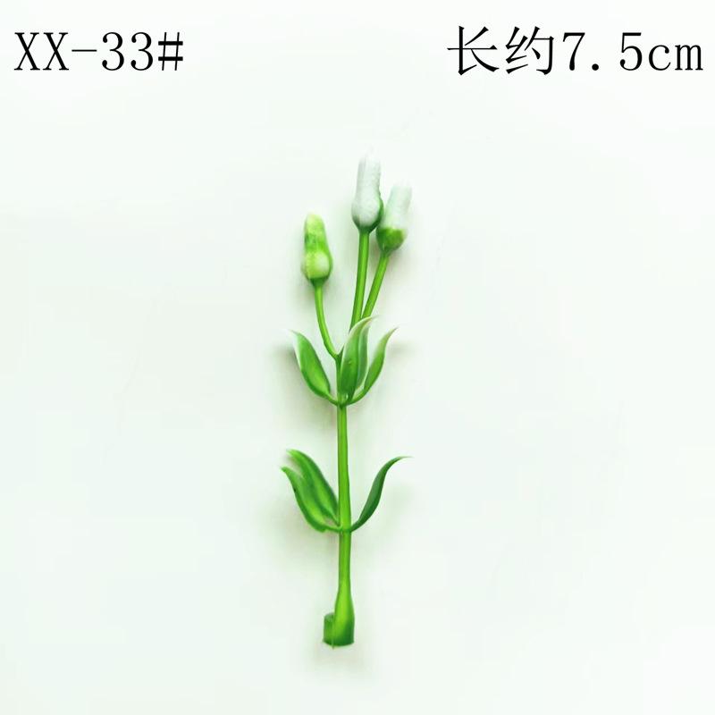 XX-33#.jpg