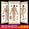 Mapa de puntos de meridianos del cuerpo humano póster de pared dibujo en color póster de pared cuasi-grande HD cuerpo entero salud moxibustión masaje personalización