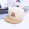 Gorras de Hip-Hop Planas Lindas para Niños Japonesas y Coreanas, Gorras de Béisbol de Dibujos Animados para Bebés de Comercio Exterior Primavera y Verano, Nuevos Sombreros para el Sol
