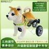 Silla de ruedas para perros discapacitados Ayuda para la movilidad de mascotas para perros ancianos con parálisis Asistencia para las extremidades delanteras Ayuda para la movilidad de gatos para las patas traseras