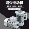 Motor Assíncrono Trifásico Miniatura com Carcaça de Alumínio 380V Motor para Inversor de Frequência Motor com Flange Pequena Vertical Motor para Torno Furadeira de Bancada