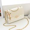 Bolso Pequeño Cuadrado para Mujer Bolso de Hombro Estilo Coreano Bolso Cruzado para Teléfono Móvil Moda de Nicho Bolso de Hombro Bolso de Maquillaje para Mujer