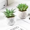 Bonsái de Planta Verde Nórdica Flor Falsa Decoración de Interior Decoración de Escritorio Biónica Suculenta Pequeña Planta en Maceta