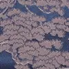 Tecido Jacquard Catiônico Radial Chuva Nebulosa Jiangnan Bicolor em Estoque Moda Hanfu Tecido para Roupas de Idosos 072 #