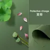 Papel de Fundo Fotográfico Refletivo de Cor Sólida Tradicional Adereços Fotográficos para Joias Cartão de Papel para Fotografia de Produtos Coloridos Fruta Vermelha Pequena