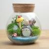 Musgo Micro Paisaje Botella de Vidrio Ecológica Corcho Redondo Tarro de Almacenamiento Sellado Vidrio Transparente de Alto Borosilicato Venta al por Mayor