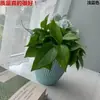 Vaso de flor de plástico sem furo sem vazamento rabanete verde cultura de água e terra bacia de imitação de porcelana grama espessa inodoro vaso de planta verde simples