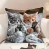 Funda de Almohada de Gato Más Vendida en Temu, Funda de Almohada de Animales Linda y Divertida, Funda de Cojín Decorativa para Dormitorio, Hogar, Sofá, Venta al por Mayor