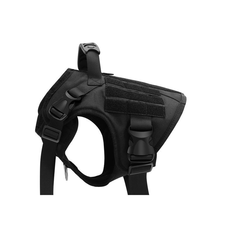 2e83fa61589444992a42835a595784