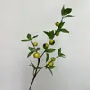 Ramas de Fruta de Naranja Simuladas, Flores Artificiales, Limón, Granada, Caqui, Decoraciones de Año Nuevo y Festival de Primavera, Arreglos Florales para Sala de Estar, Venta al por Mayor
