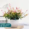 [Piedra Colgante de Flores y Hojas] Plantas Verdes Trepadoras Coloridas, Plantas de Flores en Maceta de Escritorio en la Oficina, Fáciles de Cultivar, Resistentes al Calor y al Frío
