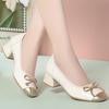 Zapatos de Cuero Suave de una Sola Pieza para Mujer 2026 Primavera y Otoño Nuevo Estilo Tacón Grueso Tacón Medio Zapato de Cuero con Lazo Estilo Chanel Punta Redonda Zapatos Mary Jane