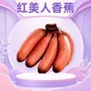 Plátano Rojo Belleza de Fujian Venta al por Mayor Entrega 1/3/ 2.5kg Plátano Grande de Piel Roja, Dulce, Suave y Fruta Fresca