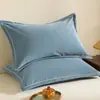 Juego de Dos Fundas de Almohada de Peluche para Bebé 48x74 Invierno Espesado Coral de Leche Tela Polar Funda para Cojín de Tamaño Grande 50x80