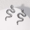 Pendientes de acero inoxidable con forma de serpiente transfronterizos europeos y americanos, pendientes de nicho con personalidad sencilla, pendientes de acero de titanio de estilo frío de metal para mujer