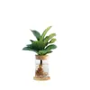 Qin Ye Rong Planta Verde Hidropônica Pequeno Vaso Desktop Escritório para Alimentar Flores Nórdicas Sempre Verde e Purificar o Ar