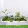 [Cena de Empilhamento Estilo Três Caracteres] Paisagem de Flores e Grama, Plantas Verdes, Plantas Artificiais, Musgo Decorativo, Móveis de Interior de Luxo Acessível