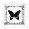 Especimen de Mariposa Real Decoración del Hogar Marco de Fotos de Madera DIY Suministros de Pintura Decorativa Avanzada Regalo Moderno Regalo Creativo