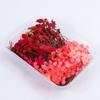 Meimuer moldura de foto com flores secas diy mista decoração de leque redondo material natural vela de aromaterapia diy material de flor seca