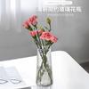 Vaso Vento Ins Vaso de Vidro Nórdico Transparente Água Sala de Estar Vaso Simples Ornamentos de Flores Decoração de Casa