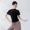 Traje de Prática de Dança Clássica para Mulheres, Mangas Curtas Vazadas, Top de Chiffon Latino, Gola Meio Alta, Roupa de Yoga Estilo Ballet, Traje de Dança Chinesa
