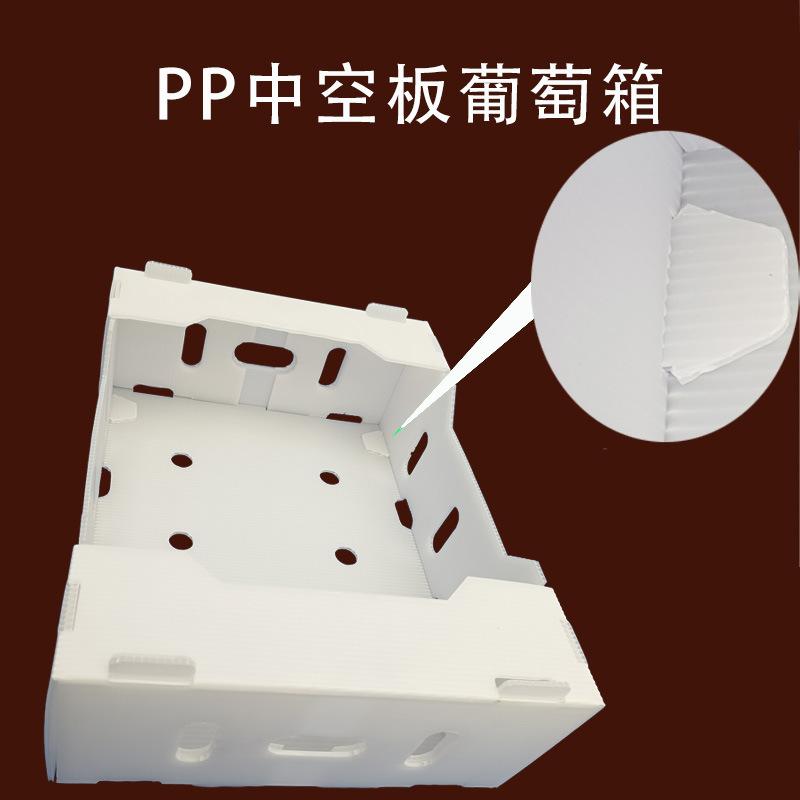 葡萄2.jpg