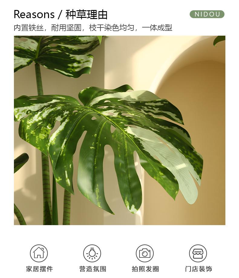 详情页_02.jpg