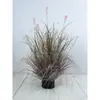 Planta de Hierba de Junco Simulada Personalizada Bonsái Decoración de Ventana Piso Hierba Cola de Perro Heno Césped Cebolla Planta Verde Planta en Maceta