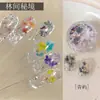 Material de Flores Secas Lentejuela Joyería para Uñas Celebridad de Internet Color Verano Caliente Flor Ópalo Polvo Material Bolsa Accesorios para Uñas