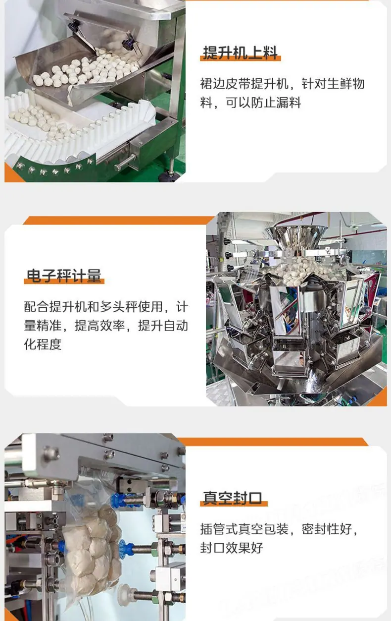 LG1-430A单工位真空给袋机+鱼丸+郭红_08.jpg