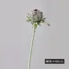 Flores Artificiales Estilo Europeo Flox Terciopelado Ramo de Flores Falsas Flores Secas Decoración Vintage para el Hogar Adornos para Salas de Muestra Venta al por Mayor Transfronteriza